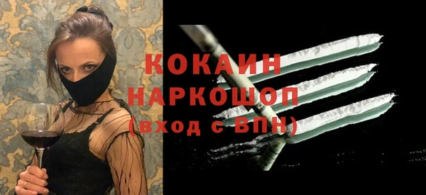 мдпв Михайлов