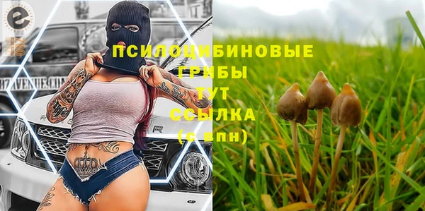 амф Михайловск