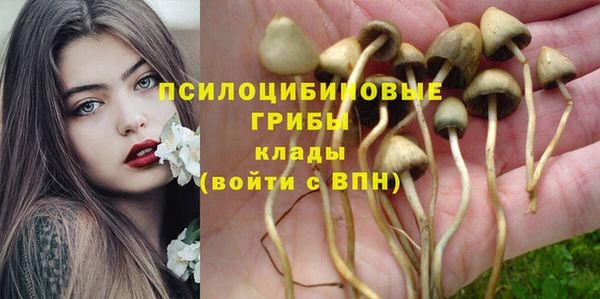 мдпв Михайлов