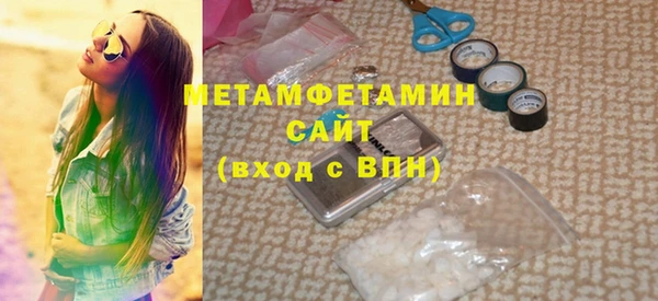 индика Дмитриев