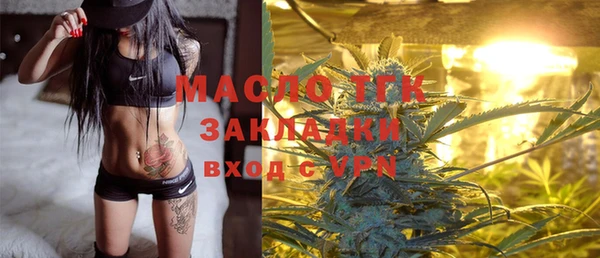 мдпв Михайлов