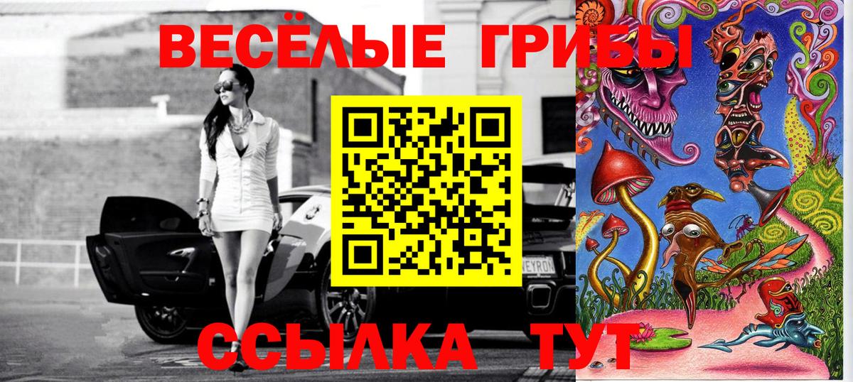 Добрянка  Псилоцибиновые грибы Psilocybe  Вход с VPN 