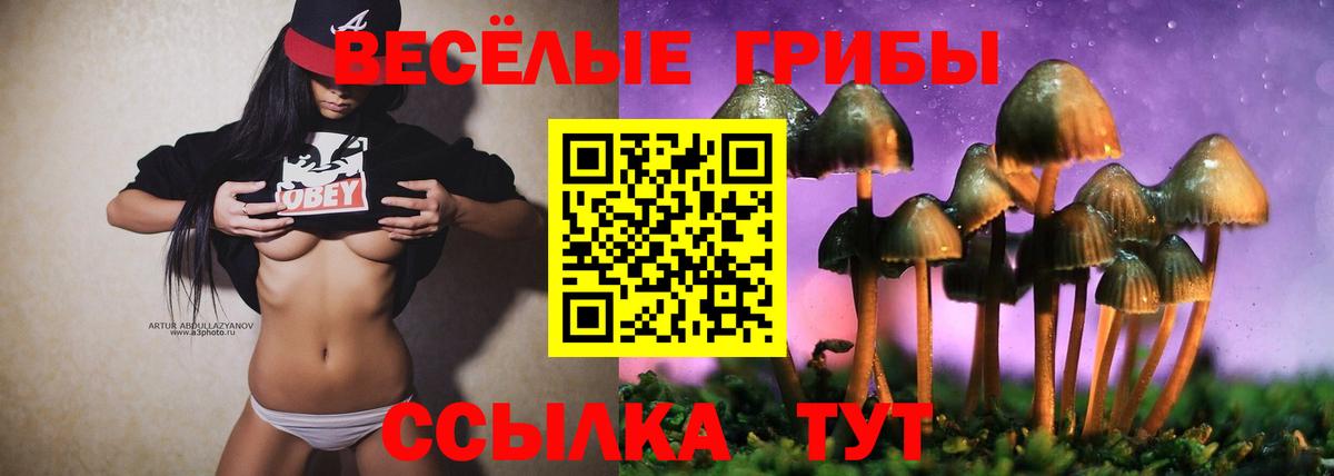 Псилоцибиновые грибы мухоморы Добрянка